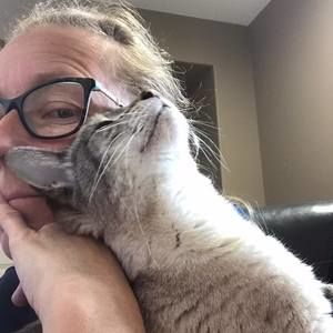 Meet your Posher, Evaline